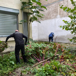 entretien des espaces verts