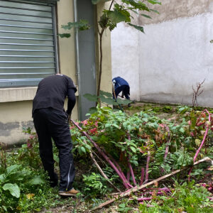 entretien des espaces verts