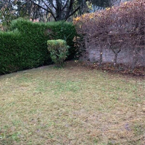 entretien des espaces verts