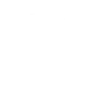 Logo Brossnett